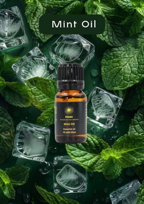 WhatsApp Image 2025-06-11 at 2.16.27 PM (1)