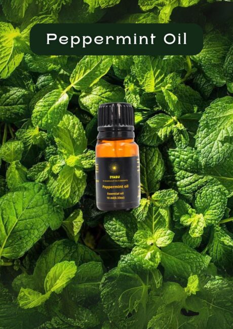 WhatsApp Image 2025-06-11 at 2.16.27 PM