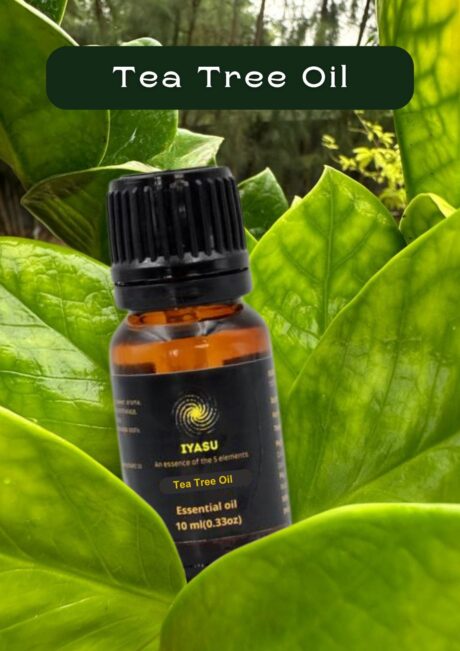 WhatsApp Image 2025-06-11 at 2.16.28 PM (1)