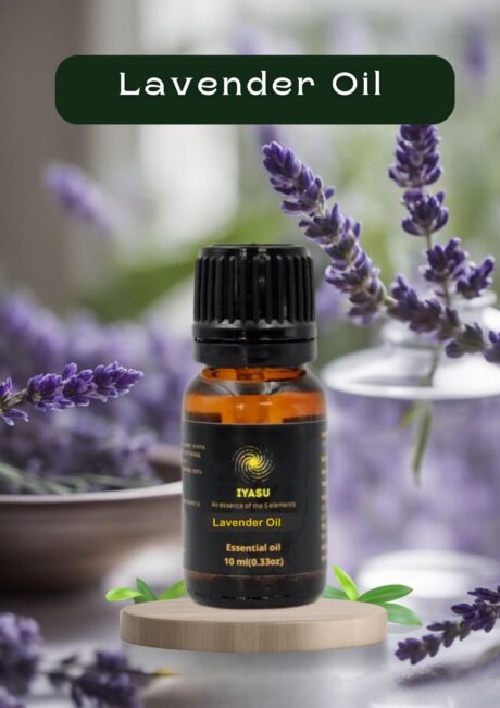 WhatsApp Image 2025-06-11 at 2.16.28 PM